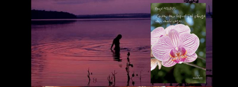 Camila Pitanga - L ocean dans lequel j'ai plongé sans savoir nager 4